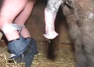 Blowjob bestiality sex
