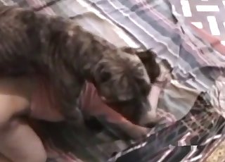 Acts of raw bestiality spliced together