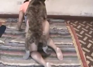 Acts of raw bestiality spliced together