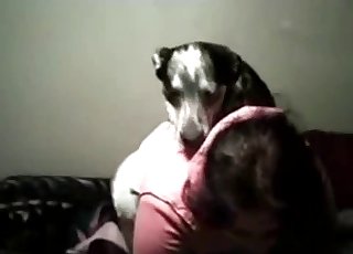 Dog wants to sniff it before sex