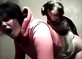 Pies chce powąchać przed seksem