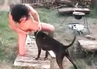 Skinny black dog eating her hot pussy