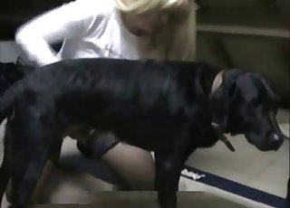Blonde secretary and her trained black dog