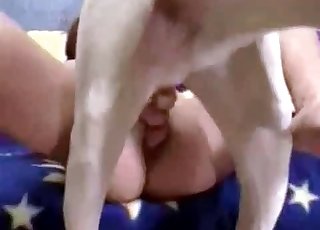 Sweet massive doggy and sensual animal