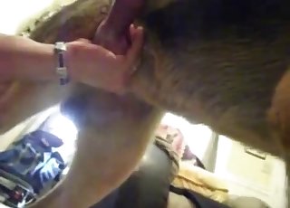 Intense gay anal sex with a big-dicked dog