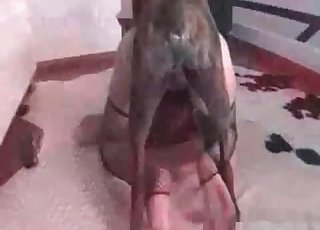 Passionate doggy fucking her wet tight hole