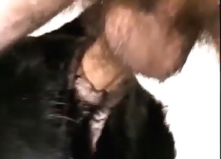 Black dog gets raped by a dude