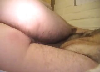 Sexy doggy eating her wide-opened cunt