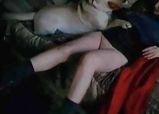 White dog is being created for bestiality XXX