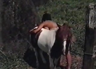 Impressive sex with a horny animal