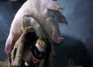 Twisted pig fucking a masked amateur