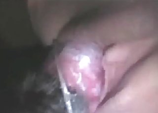 Doggy nails a sweet beauty