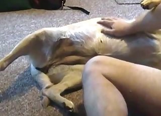 Fantastic teasing for a very kinky pooch