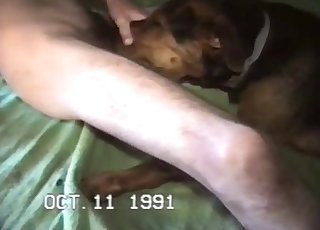 Impressive sex with a very slutty dog