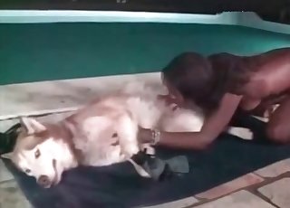 Poolside blowjob for a very hung dog