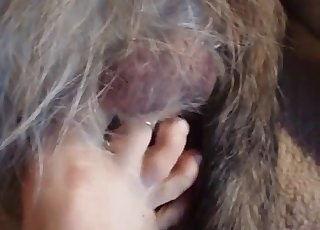 Incredible close-up bestiality