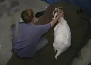 침실에서 내 강아지와 섹스를 하다