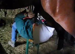 Muscled horse is peeing on her face