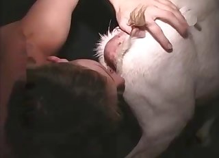 农场动物的屁股得到了刺激