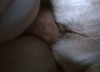 White doggy deserved my massive dick