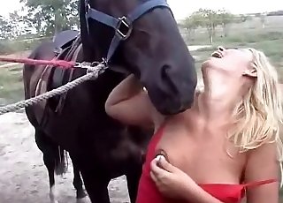 Blond-haired babe blows a horse