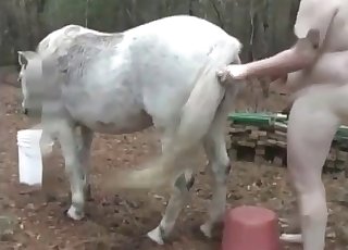 White stallion in stunning farm animal sex