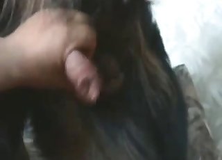 Doggy cums a nice and tasty load of cum