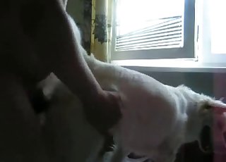 Close-ups and beyond, enjoy zoo porn