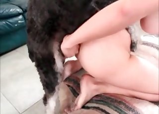 Big-tit zoophile nailed by a bowwow