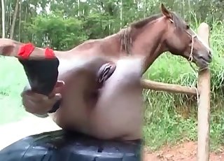 Sexy stallion nicely pounds a wide-opened cunt