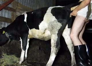 Dude fucks his sexy cow from behind