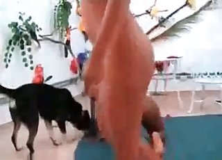 Sweetest doggy and adorable ebony