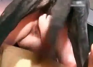 Sexy black doggy fucking her wet hole with force