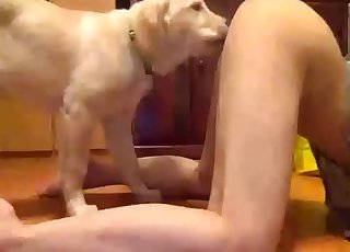 Extremely passionate oral sex with a dog