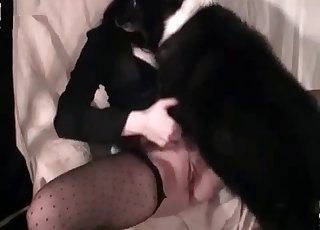 Crazy fast sex with passionate doggy