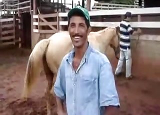 Big muscled horse pounds his girlfriend