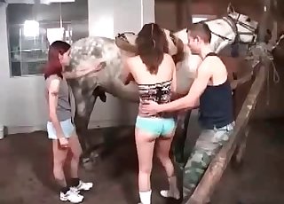 Orgy featuring humans and animals