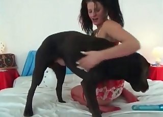 Red fishnets beauty seducing a dog