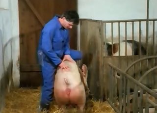 Two pigs have amazing doggy style sex