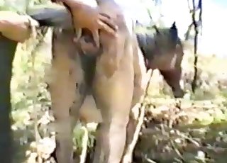 Közeli képek és egyebek egy bestialitásról szóló videóban