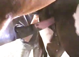 Two horse have awesome sex in the barn