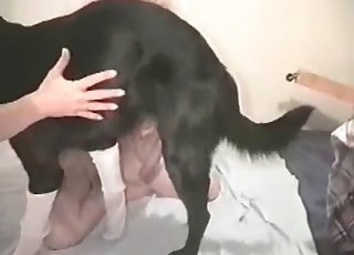Impressive bestiality on a big bed