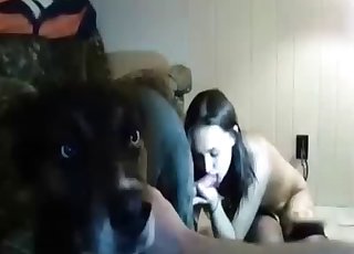 Passionate brunette sucks a huge doggy dick