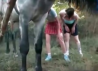 Two cute ladies and their horny stallion