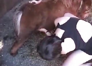 Sexy small pony and perverted zoophile slut
