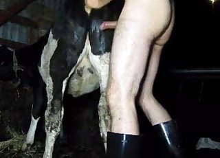 Boots-wearing zoophile fucks a cow