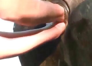 Pigtailed hottie is enjoying bestiality XXX