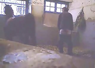 Hardcore barn sex with a filthy pony