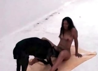 Extremely hot sex with a sexy black dog