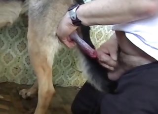 Trained shepherd fucked a big bottom